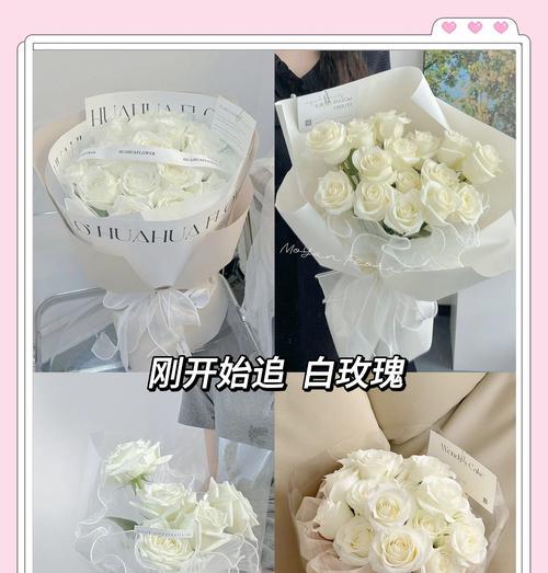 韩国象征恋爱的爱情花是什么？