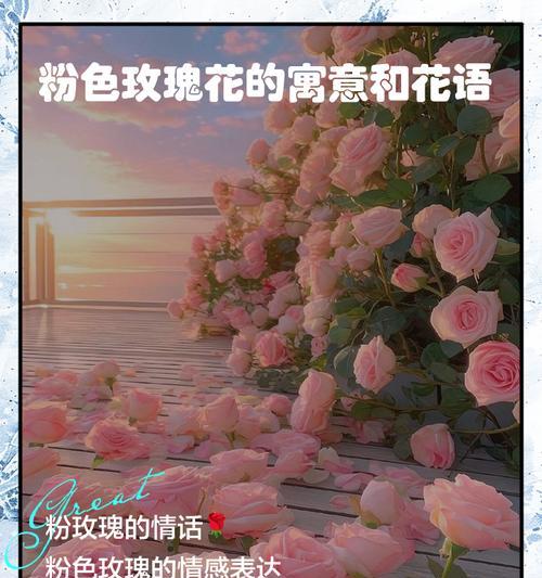 粉玫瑰代表什么情感？粉玫瑰花语的含义是什么？