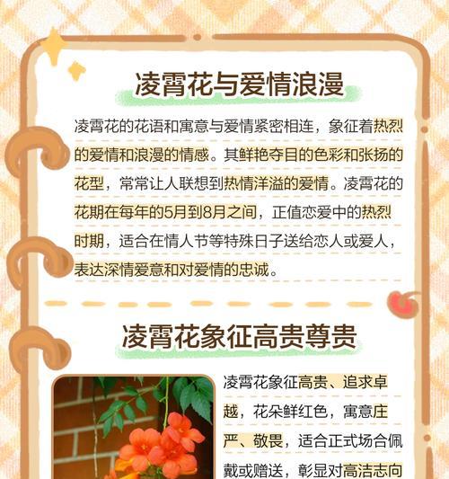 什么花代表恋人？揭秘恋人花语的真正含义是什么？
