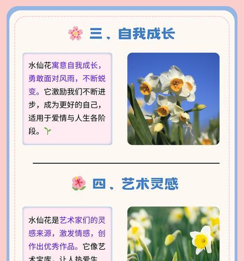 水仙花语代表什么含义？如何正确解读水仙的花语？