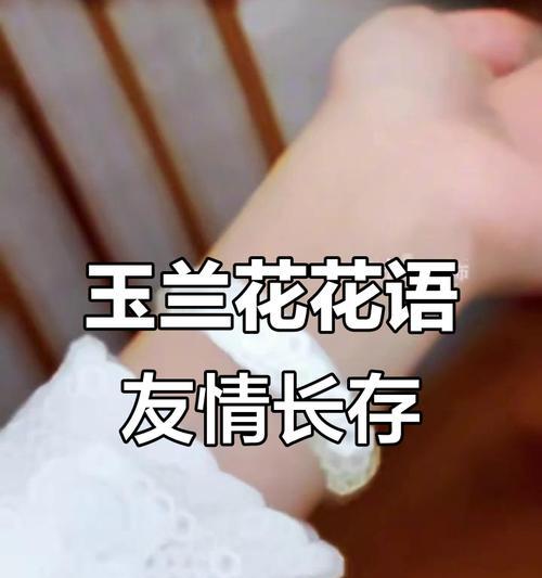 花语友谊送什么花好呢？如何选择表达友谊的花卉？