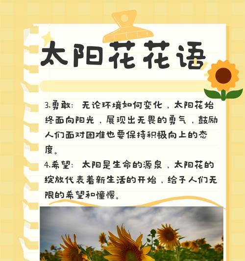 花的寓意与意思是什么？各种花象征着什么？