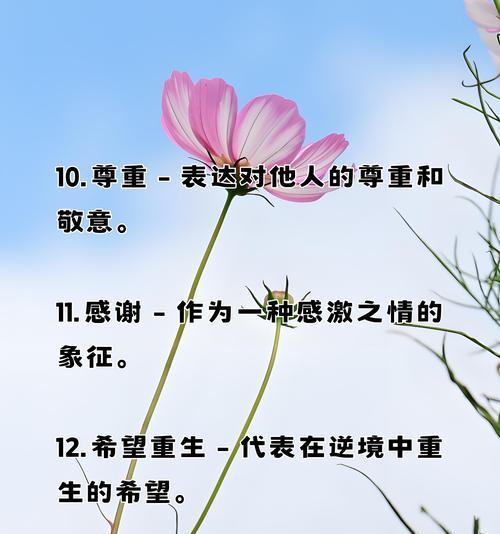 热情风趣的花语代表什么含义？如何正确表达？
