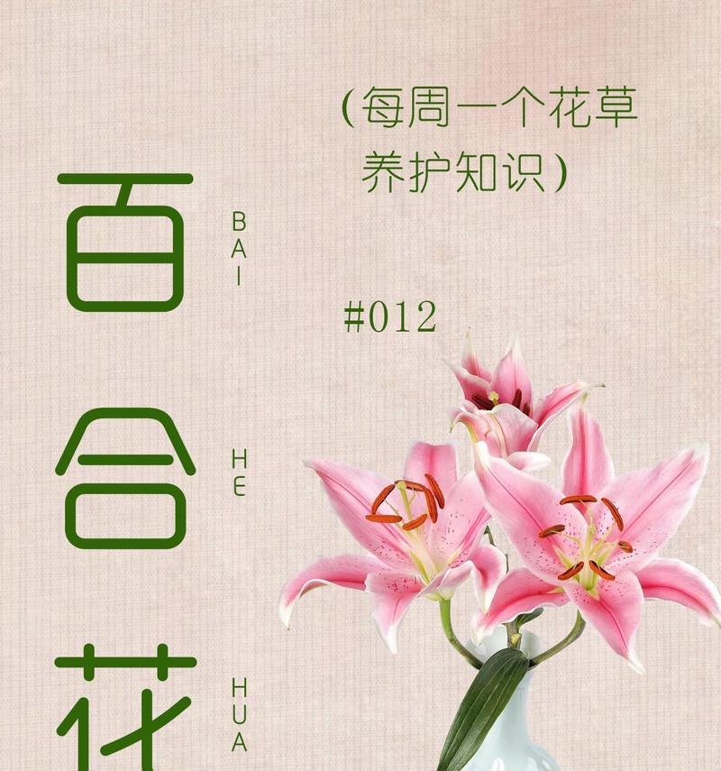 常见花材的象征寓意是什么？如何根据场合选择合适的花卉？