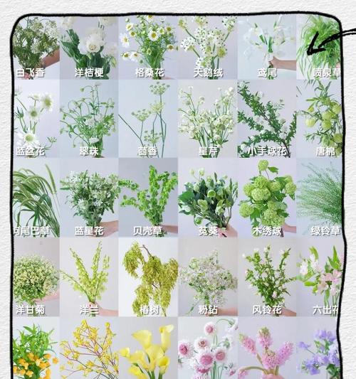 常见花材的象征寓意是什么？如何根据场合选择合适的花卉？