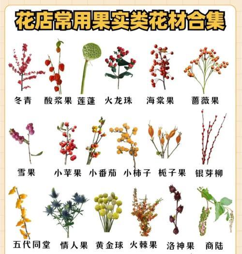 常见花材的象征寓意是什么？如何根据场合选择合适的花卉？