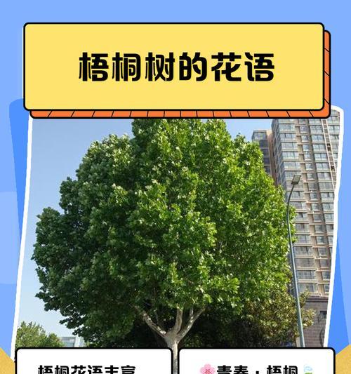 清香树的花语是什么？如何理解清香树的象征意义？