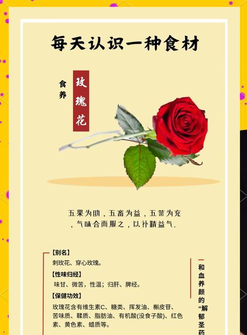 玫瑰花语有哪些含义？不同朵数玫瑰代表什么意义？