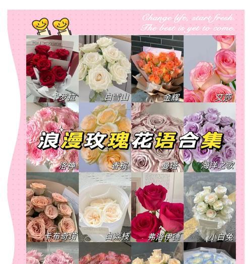 玫瑰花语有哪些含义？不同朵数玫瑰代表什么意义？