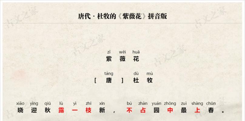 紫薇花花语是什么？如何理解紫薇花的象征意义？