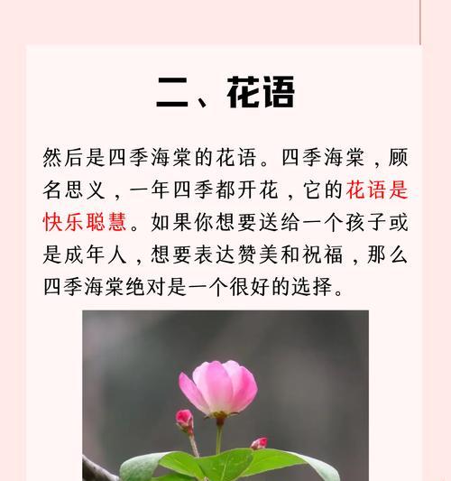 六朵花代表什么意义？送六朵花的象征含义是什么？