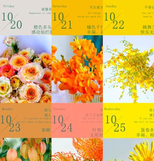 盛宴的花语是什么？如何用花语表达宴会的喜悦？
