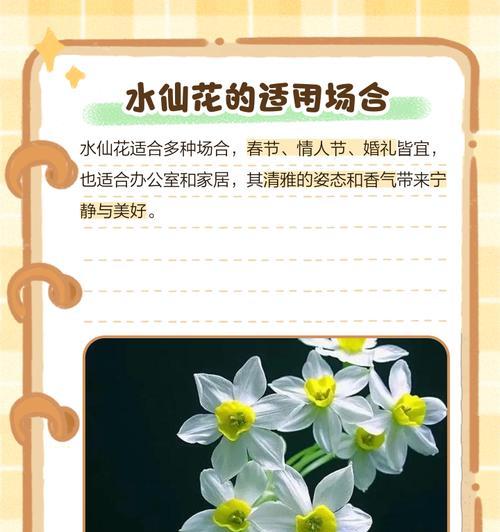 黄水仙花语暗示什么？了解黄水仙的深层含义及象征意义是什么？
