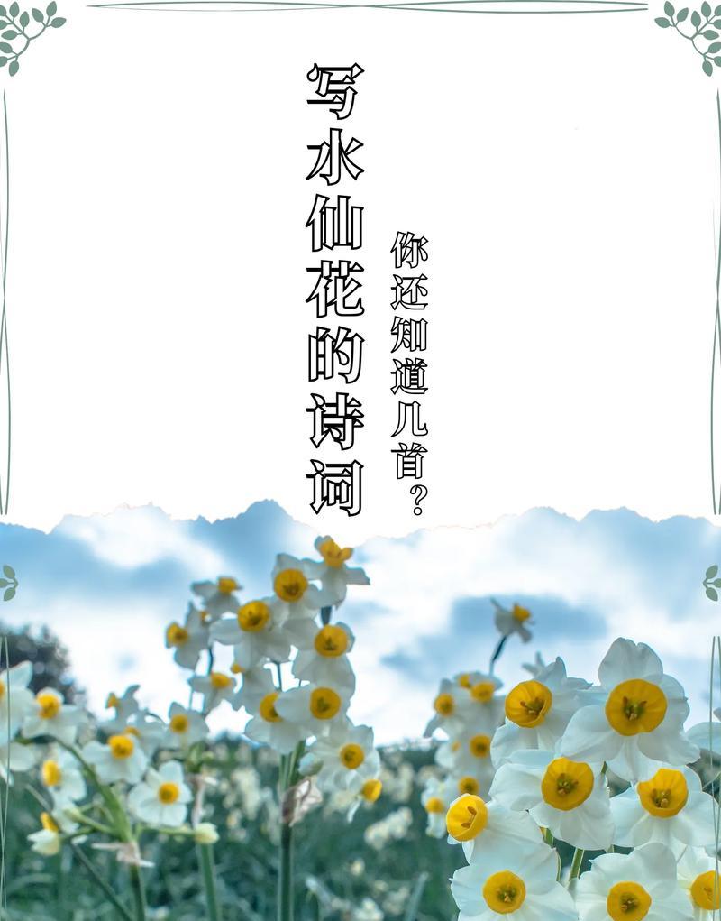 黄水仙花语暗示什么？了解黄水仙的深层含义及象征意义是什么？