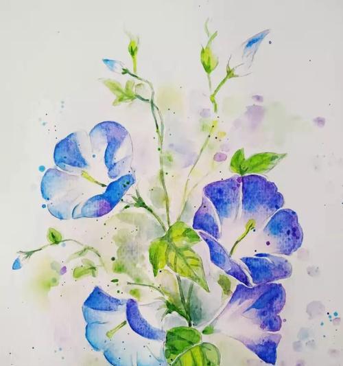肩上纹花代表什么含义？纹花图案的象征意义解析？