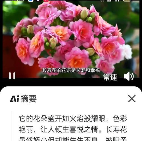 长寿花花语是什么？如何正确理解长寿花的寓意？