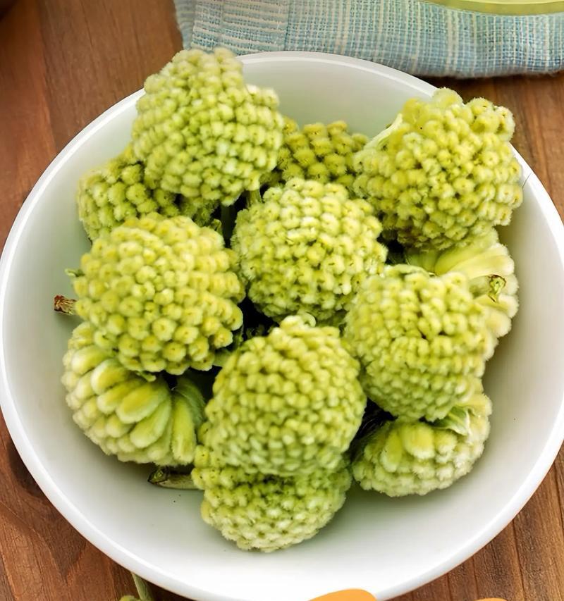 绿箩的花语是什么？如何养护绿箩以保持其美好寓意？