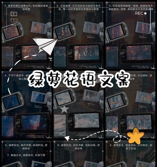 绿箩的花语是什么？如何养护绿箩以保持其美好寓意？