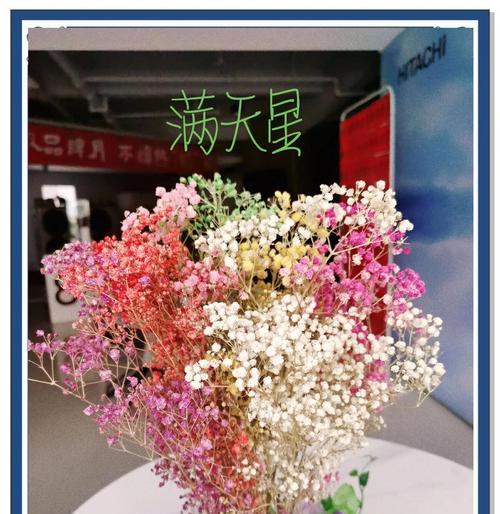 粉红满天星代表什么含义？花语解读及送花建议？