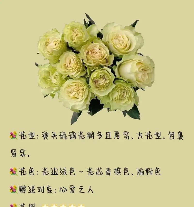 什么花才有花语？如何了解不同花卉的花语含义？
