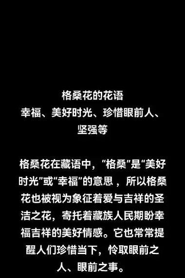 格桑花花语是什么？了解其美好寓意和象征意义？