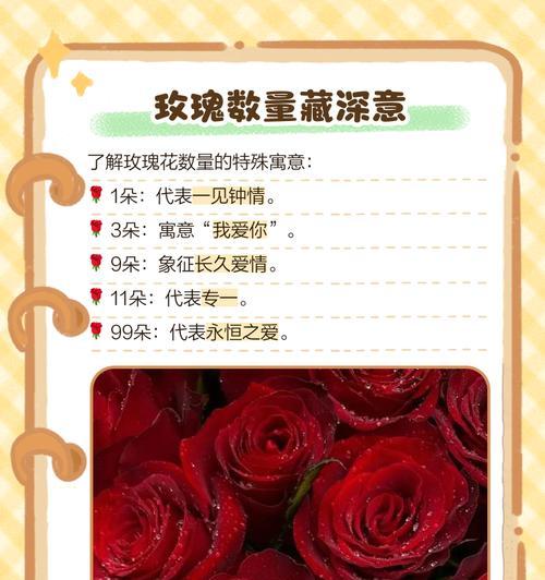 各色玫瑰花的象征意义是什么？如何根据颜色选择玫瑰花表达情感？