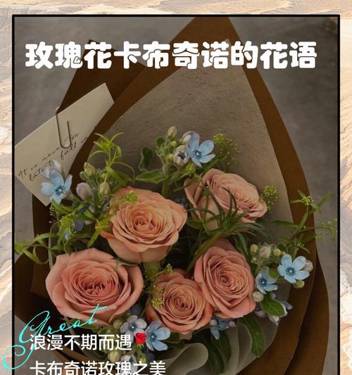 卡布什么花语是什么？如何正确理解卡布花的含义？