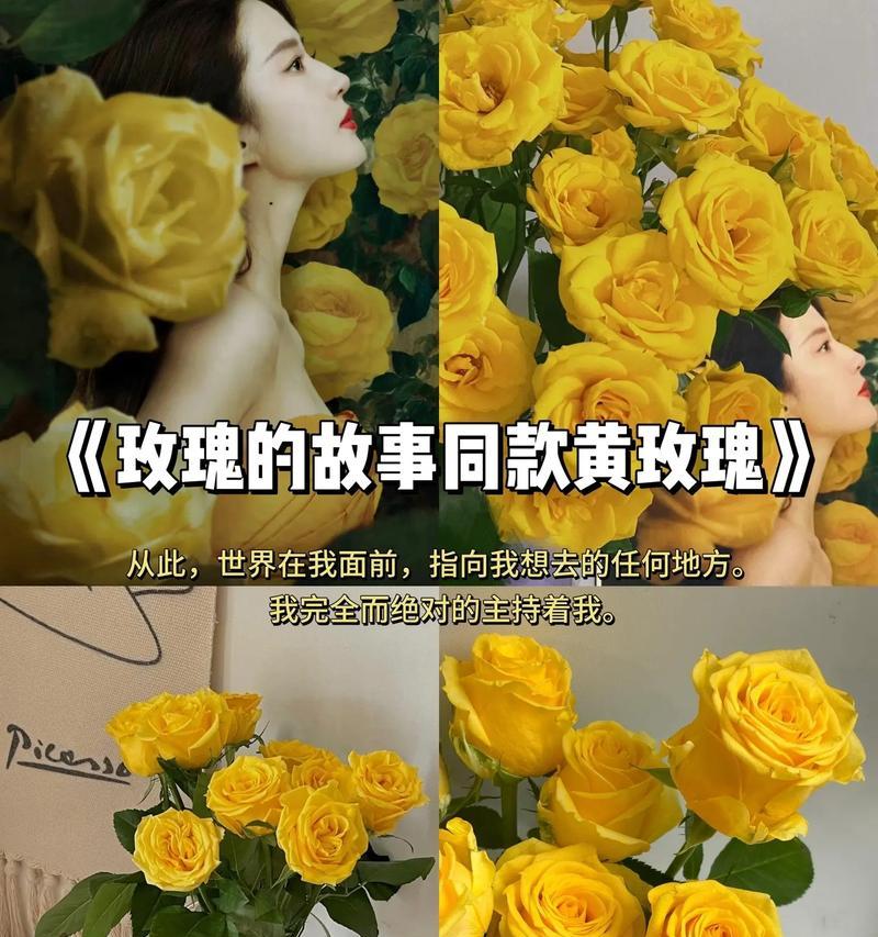 黄玫瑰的花语含义是什么？送黄玫瑰有什么特别意义吗？
