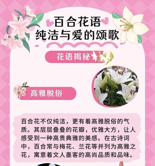 什么花象征着清洁高雅的意思？如何用花卉表达纯洁与优雅？
