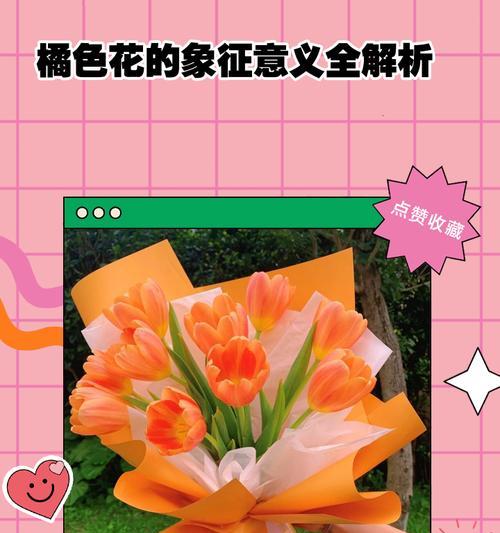 真花的寓意是什么？如何理解不同花朵的象征意义？