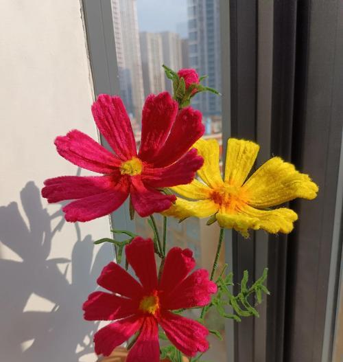 象征自由且疯狂的花是什么？这种花的花语有何特殊含义？