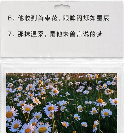 这束花语是什么？如何解读不同数量的花朵含义？