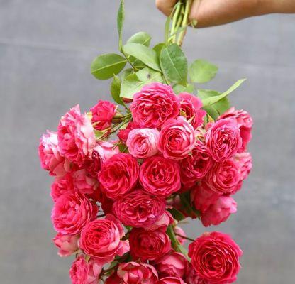 纽扣摆成一朵花代表什么？其深层含义是什么？