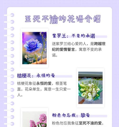 深情代表什么花语呢？如何用花卉表达深情？