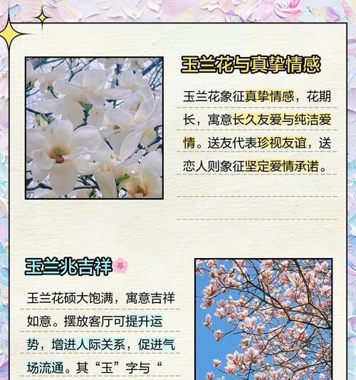 奉花的寓意是什么意思？它象征着什么？