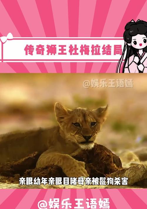 狮王花语是什么意思？如何理解狮王花的象征意义？