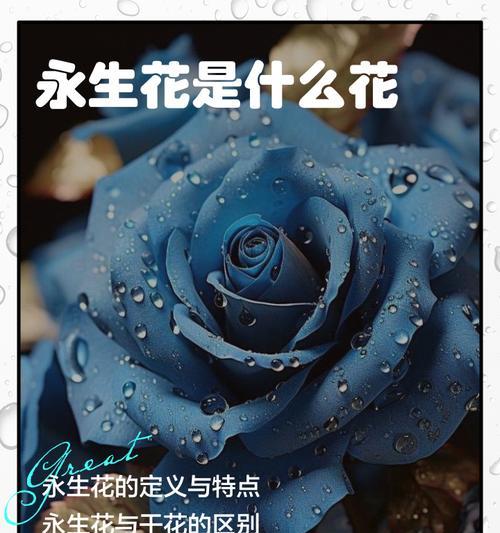 什么花代表着起死回生的爱情？如何用花卉表达不朽的爱情？