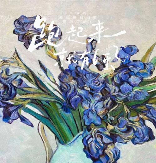 鸢尾花语诗句是什么？鸢尾花的象征意义有哪些？