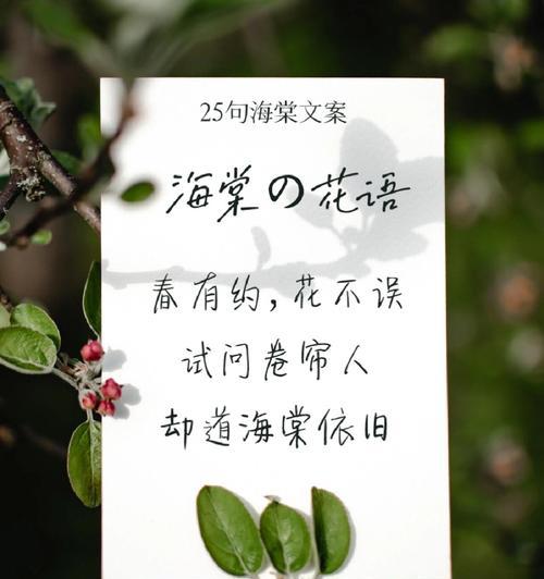 给予花的心动寓意是什么？如何正确表达爱意？
