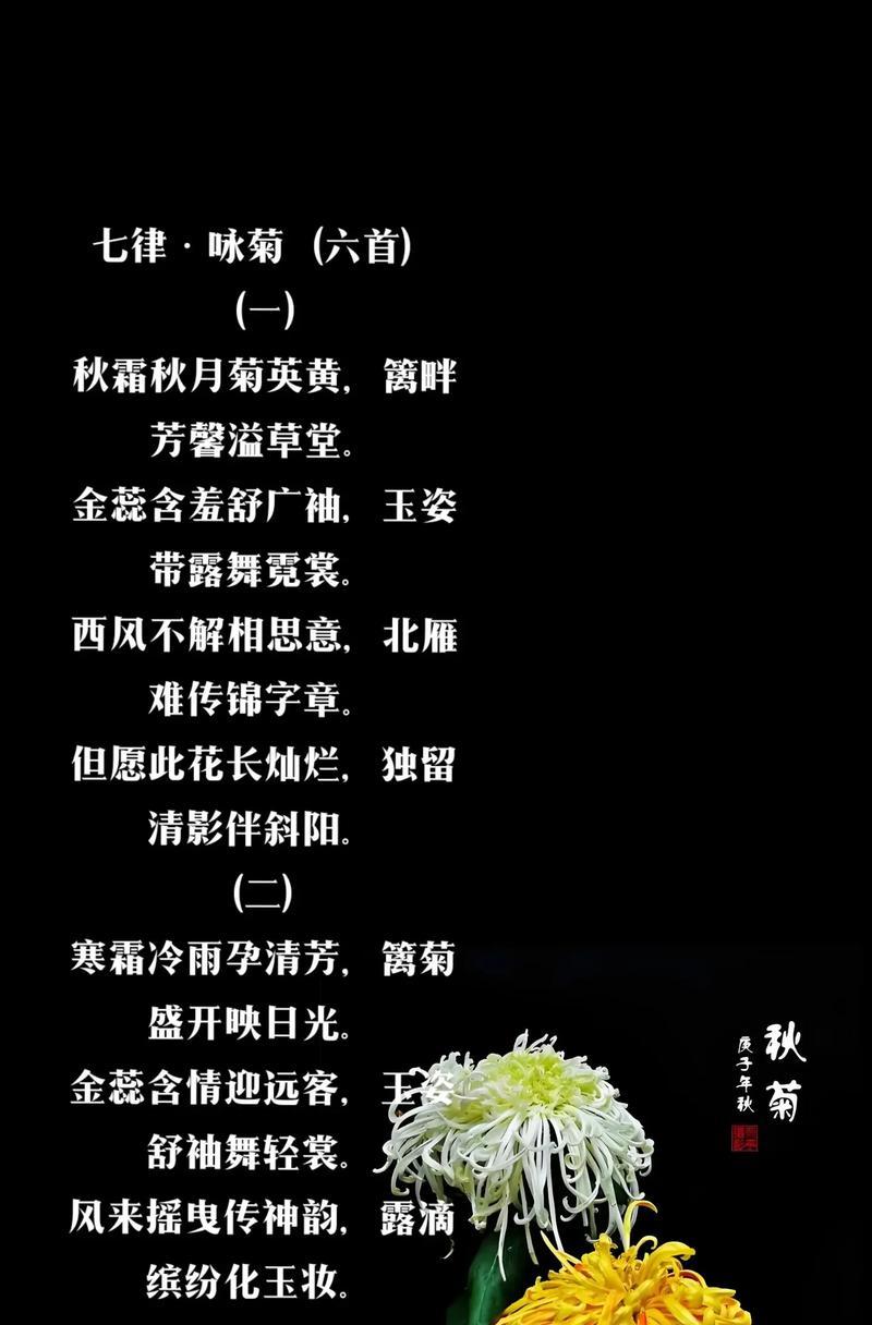 牡丹菊花语是什么？了解牡丹与菊花的象征意义？