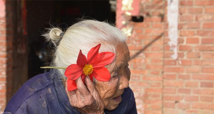 福宝头上戴花代表什么含义？这种习俗背后有何深意？