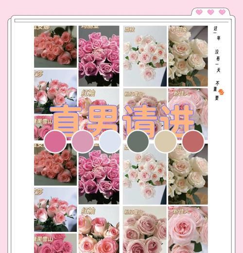 甜蜜花语是什么意思？如何理解花语中的甜蜜含义？