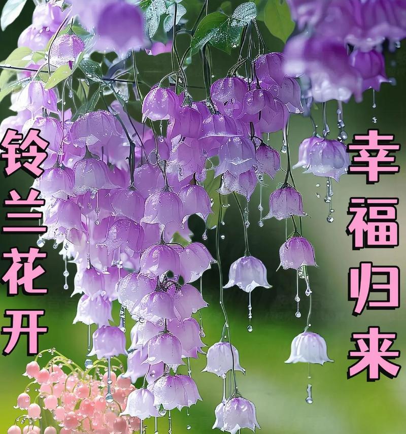 铃铛花挂件的寓意是什么？如何挑选寓意吉祥的铃铛花挂件？