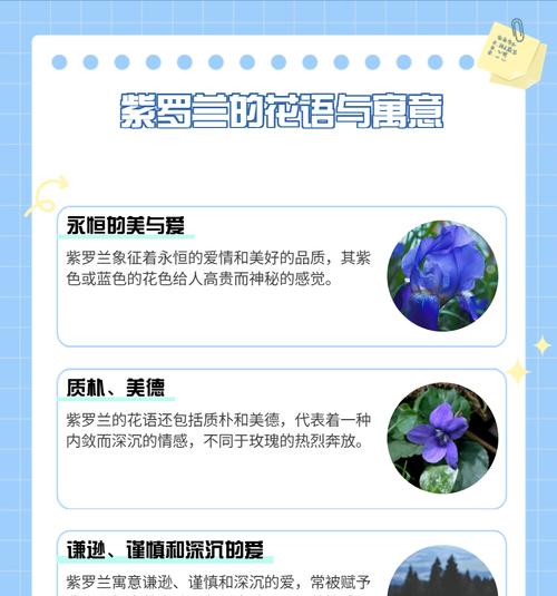 二月花代表什么意义？它们的象征含义有哪些？