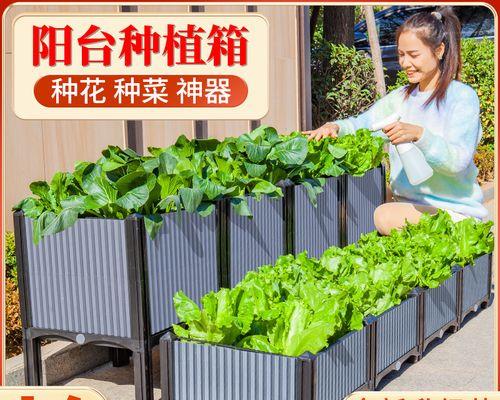 李果避雨栽培的关键技术要点是什么？