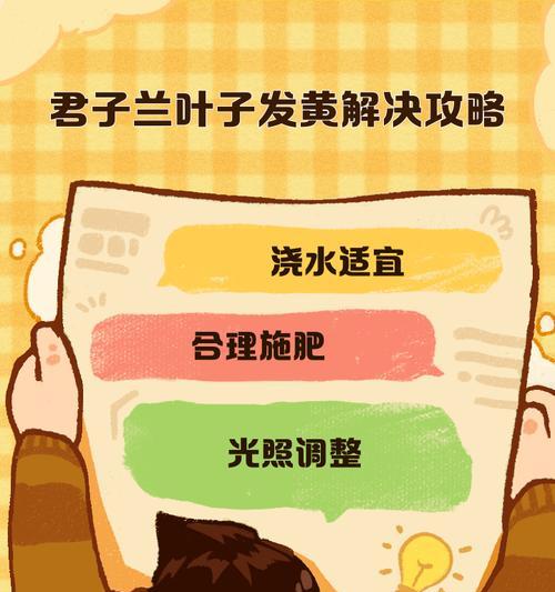 君子兰叶子干枯的原因及处理方法是什么？