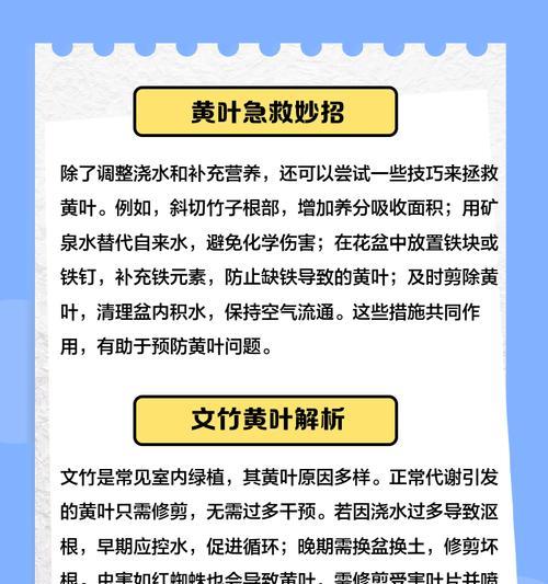 新长出的竹子叶子发黄的原因及解决方法是什么？