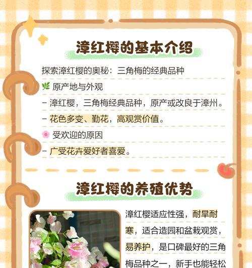 漳红樱新叶子发黄的解决办法是什么？