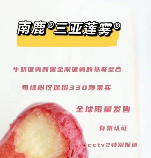 莲雾叶子发黄的原因及解决办法？