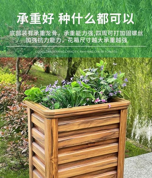生命树开播种植的最佳时间是什么时候？